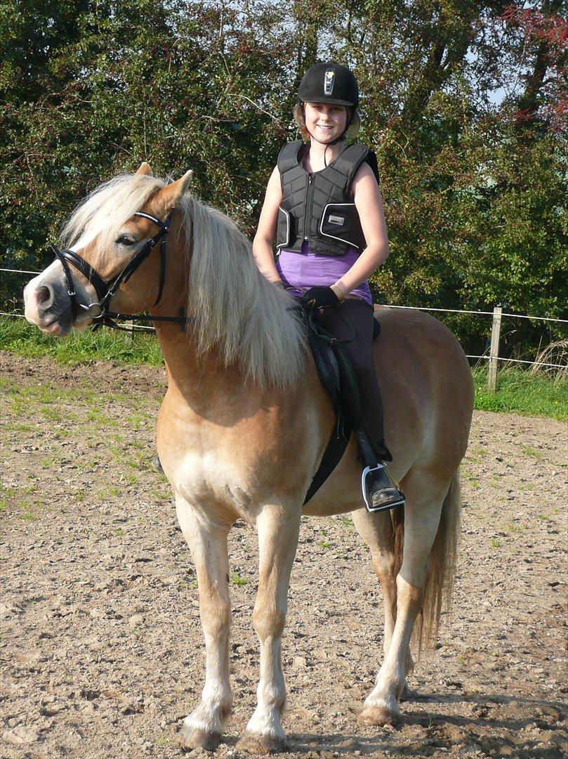 Haflinger Nemo Soldal - Et af mine ynglings billeder af Nemo og jeg<3 billede 10