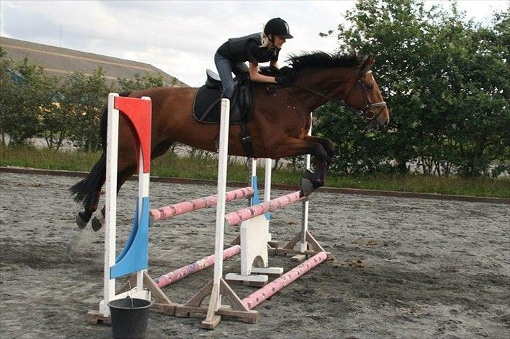 Holstener LASSE billede 5