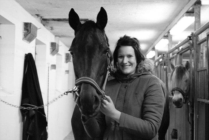 Hannoveraner Grinta Alfarvad Z - Love you!<3
 billede 11