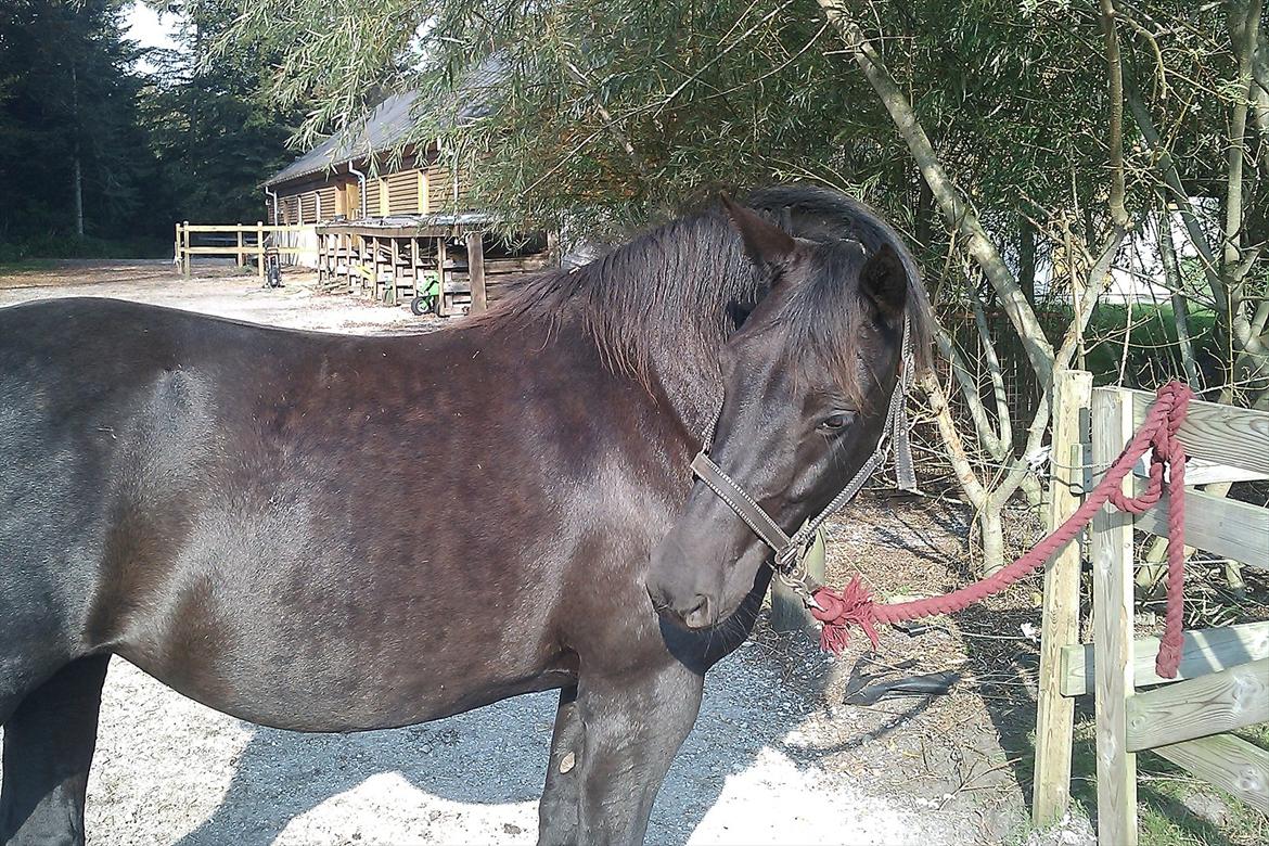 Anden særlig race Gabby - Velkommen til Gabby's profil. billede 1