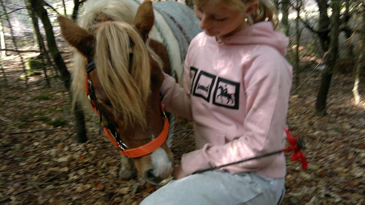 Shetlænder Plet( pletten!!??<3 ) - hvad var bamse unden kylling?
hvad var lagkage unden lag?
hvad var jorden unden vand?
hvad var en strand unden sand?
hvad var en bog unden tekst?
hvad var blomster unden duft?
hvad var havet unden bøgler?
hvad var jeg unden dig? billede 7
