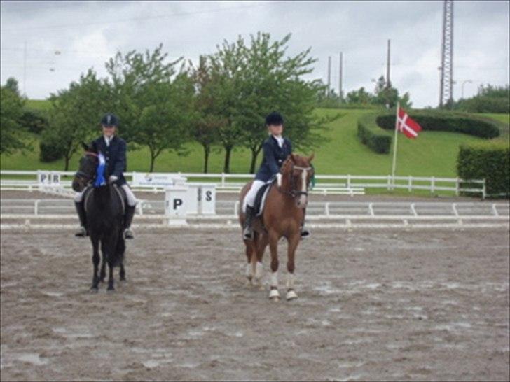 DSP Ballack - nr. 3 til diskritmesterskaberne! billede 6