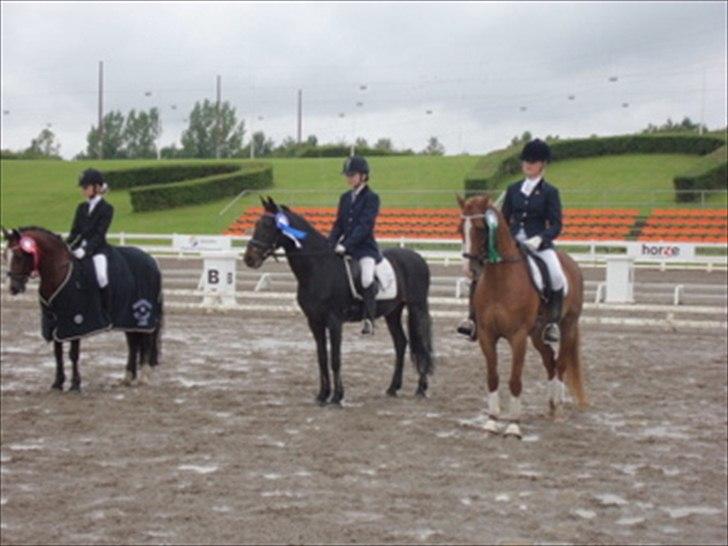 DSP Ballack billede 8