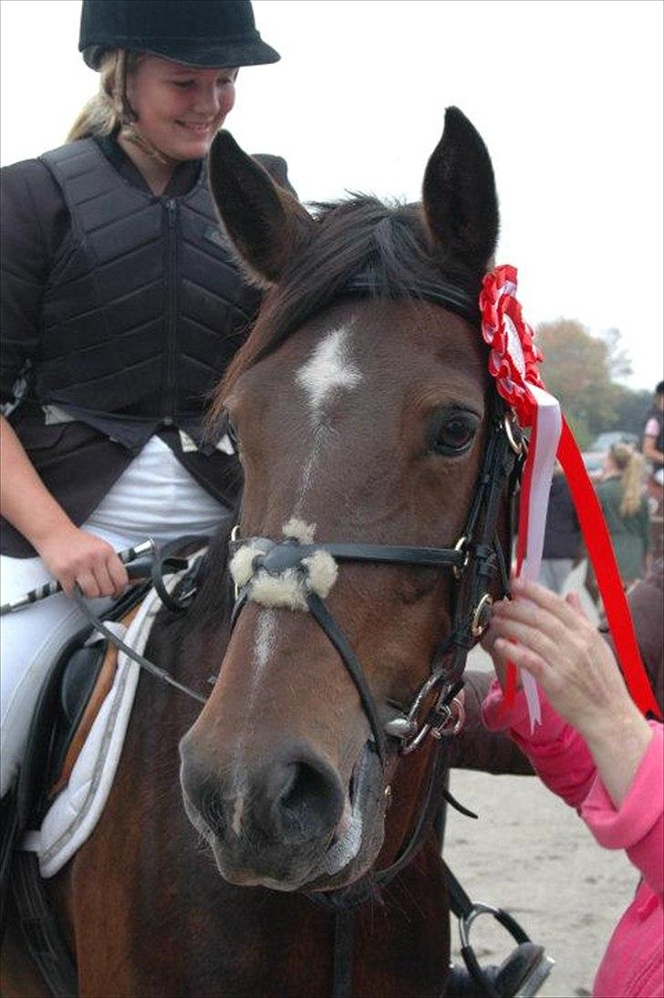 Tysk Sportspony Nixe Noel - Her med vores førsteplads i vores første LC :* 2.10/11

Foto - Elena Frees <3 billede 5