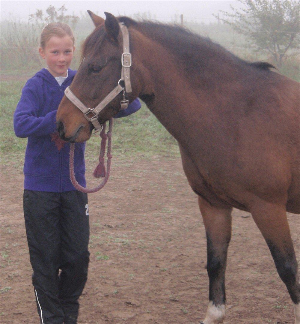 DSP Tværhøjgårds Athene ( mit et og alt )<3 - på fold :) billede 4