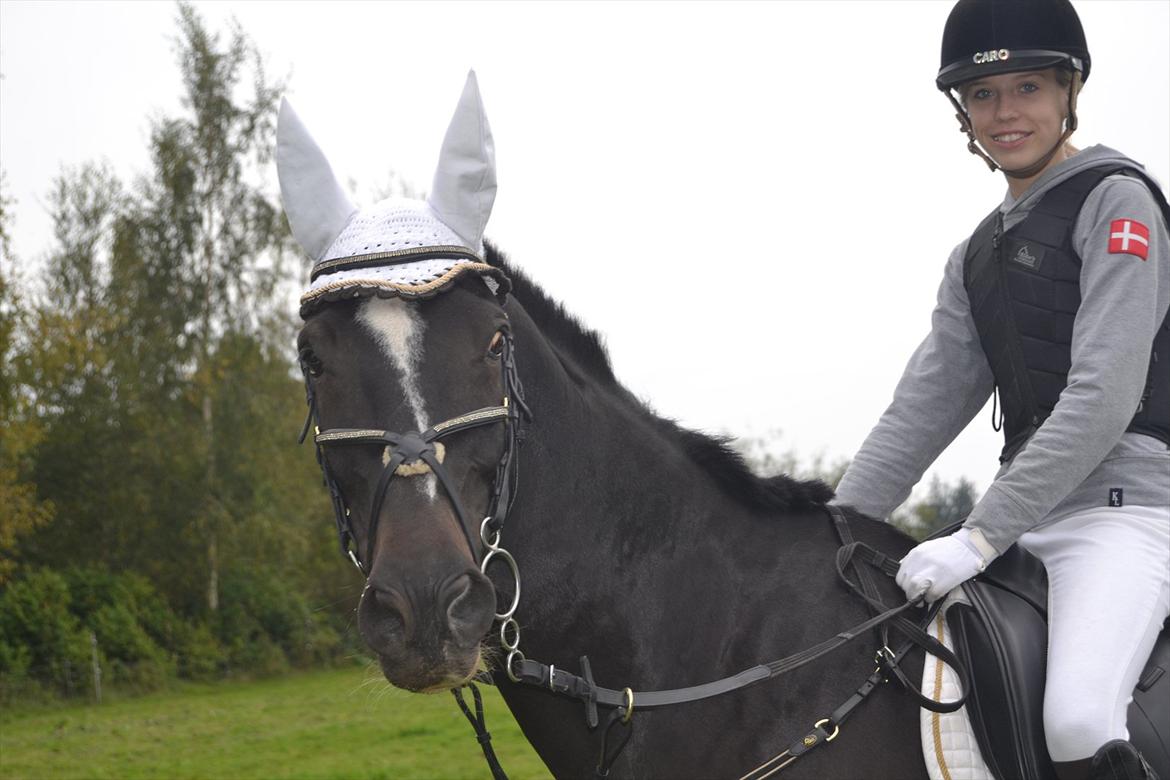 Fuldblod (XX) Nørregaardens Harlekin - Hej allesammen! we love each other !  billede 1