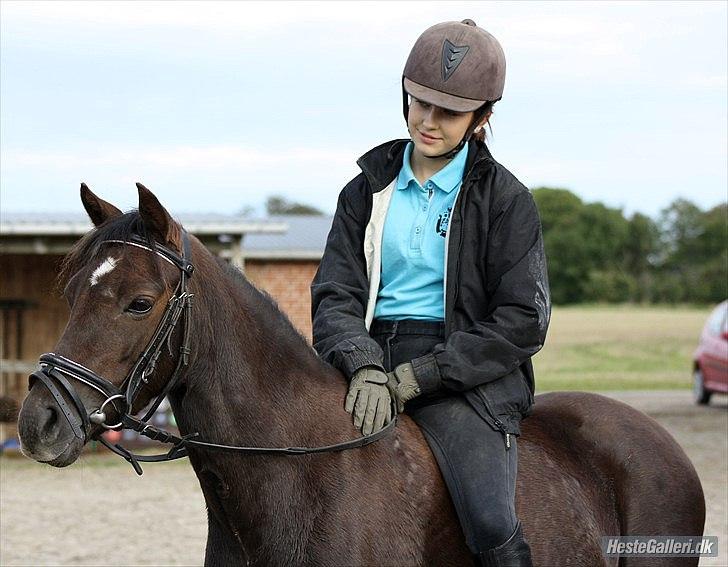 Welsh Pony (sec B) Låddenhøjs Misty - Fordi du bare er noget af det bedste der er sket for mig i mit liv, du er virkelig bare mit liv prinsesse :-* <3
uanset, hvad jeg siger kan jeg fandme  ikke undvære dig, selvom jeg ikke er ligeså glad for dig altid ;-) <3 men min prinsesse er du fandme !  billede 16