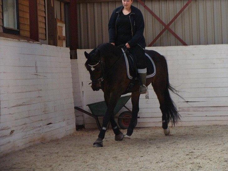 Anden særlig race Chili in action *Miss you boy* - 15 - Mig og Chili, dressur .. :D billede 15