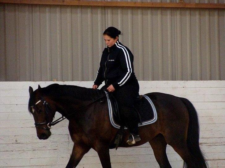 Anden særlig race Chili in action *Miss you boy* - 2 - Mig og Chili (:  Foto : Ann Tjørnelund billede 2