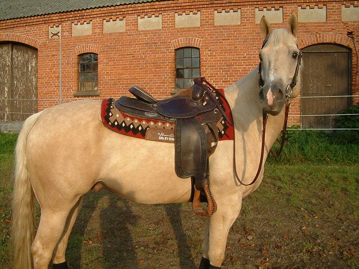 Quarter : RF Frank Olena | ~ Min Klumpe Dumpe ~ billede 2