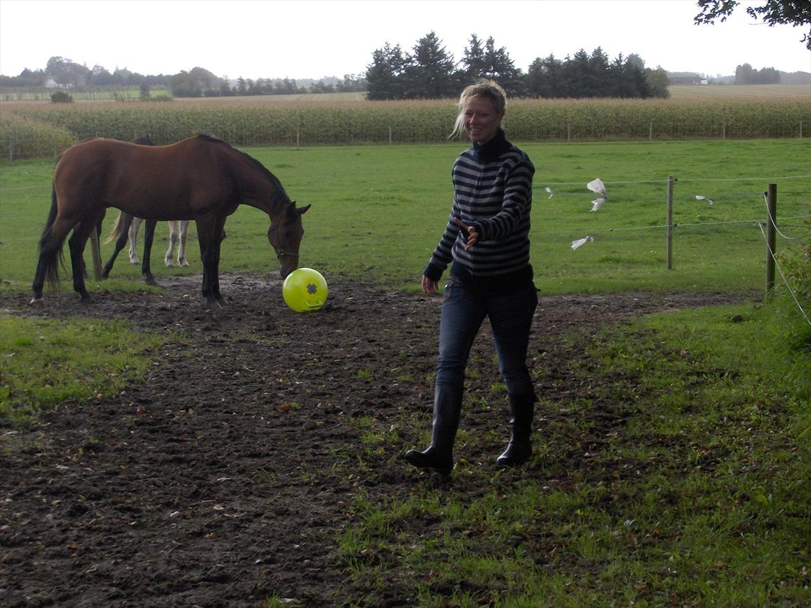 Traver  Kudu / Mojo billede 19