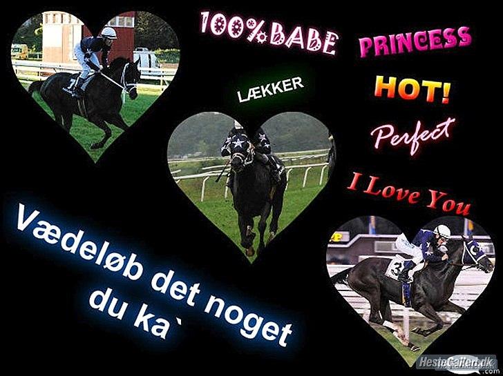 Fuldblod (XX) Gilbertian *gille* (Solgt) billede 9
