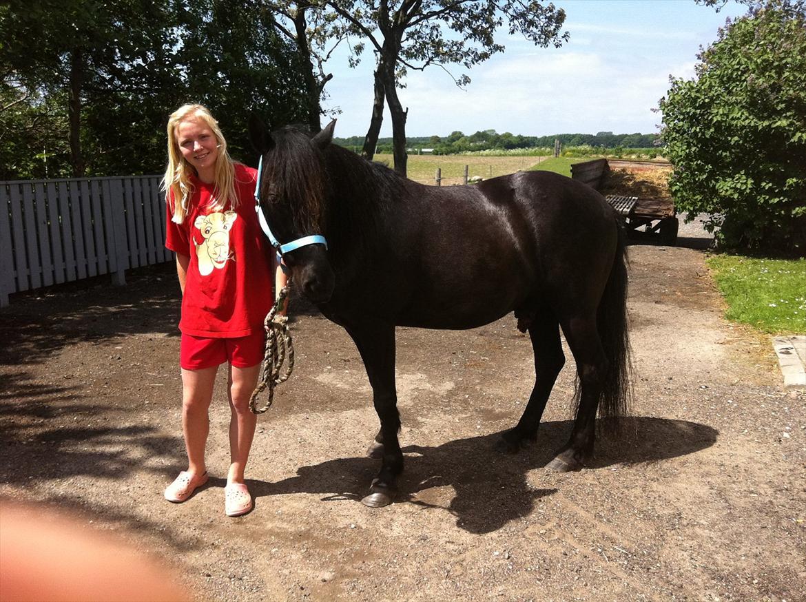 Anden særlig race Felix   R.I.P 3.10.2011 - Lækker billede 10