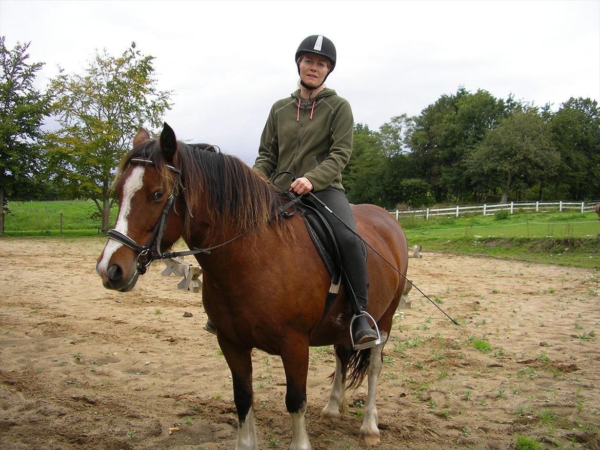 Anden særlig race Hesdalskær`s Victoria billede 4