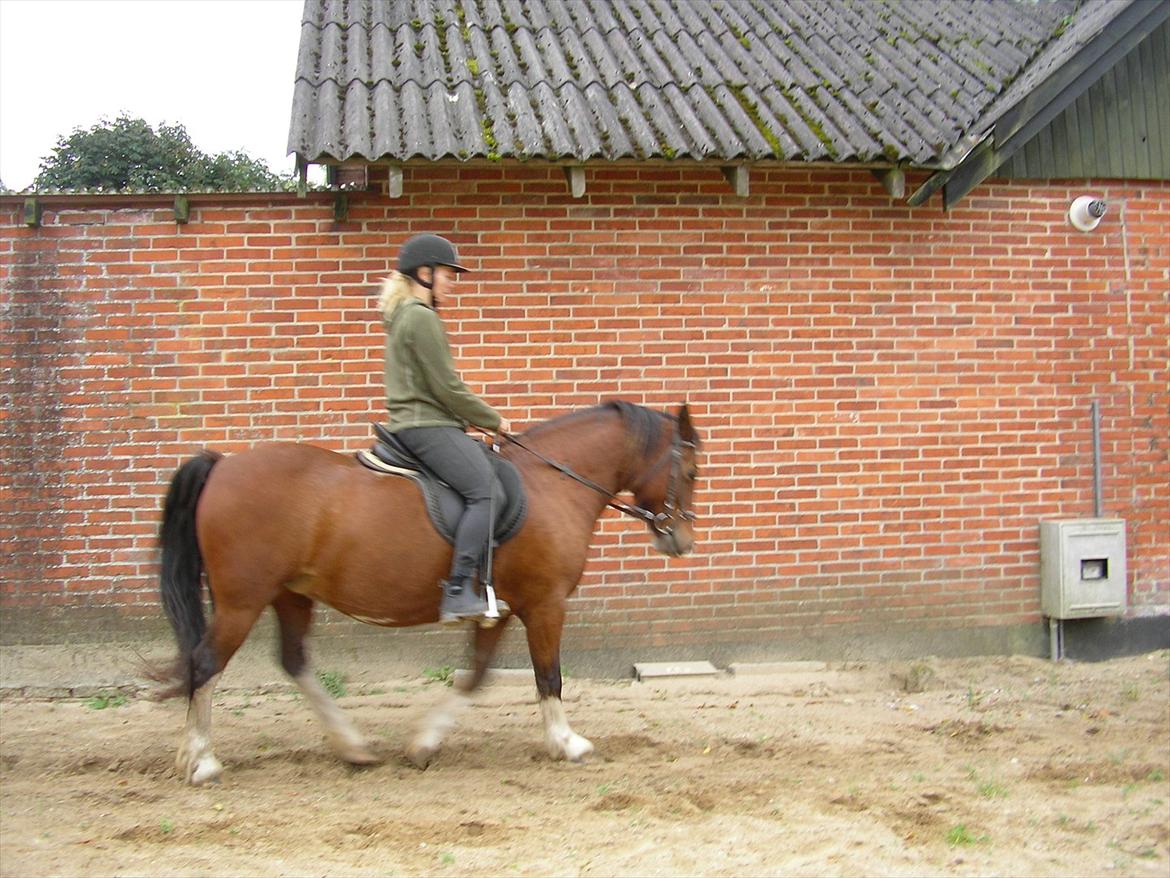 Anden særlig race Hesdalskær`s Victoria billede 5