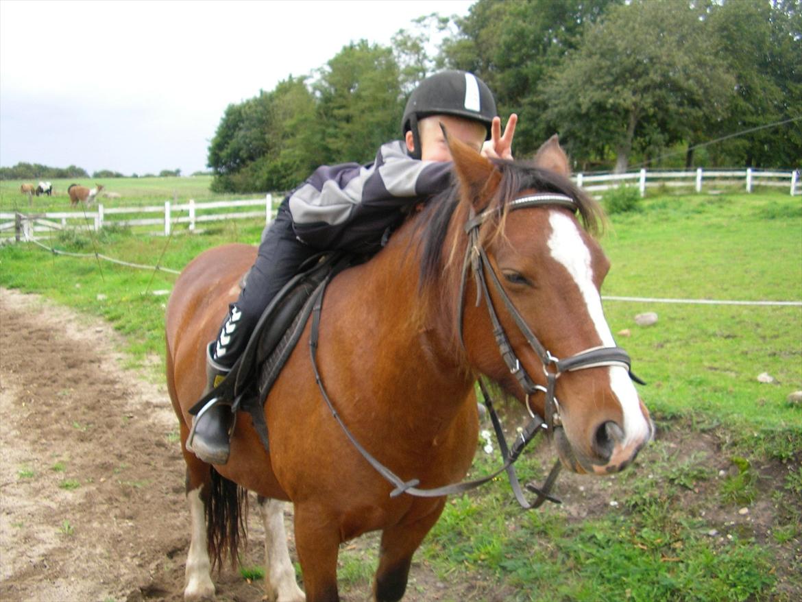 Anden særlig race Hesdalskær`s Victoria billede 8