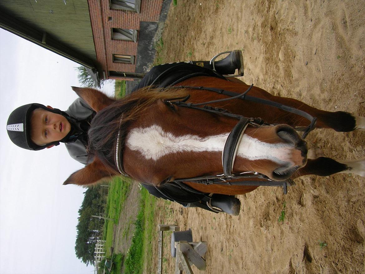 Anden særlig race Hesdalskær`s Victoria billede 9