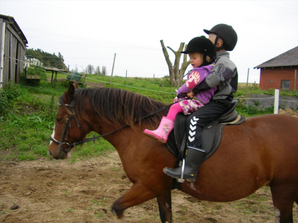 Anden særlig race Hesdalskær`s Victoria - så er der to der får tur billede 11