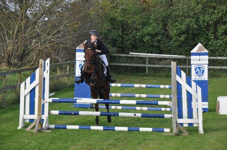 New Forest Lundgaards Kahlua - solgt :'( billede 11