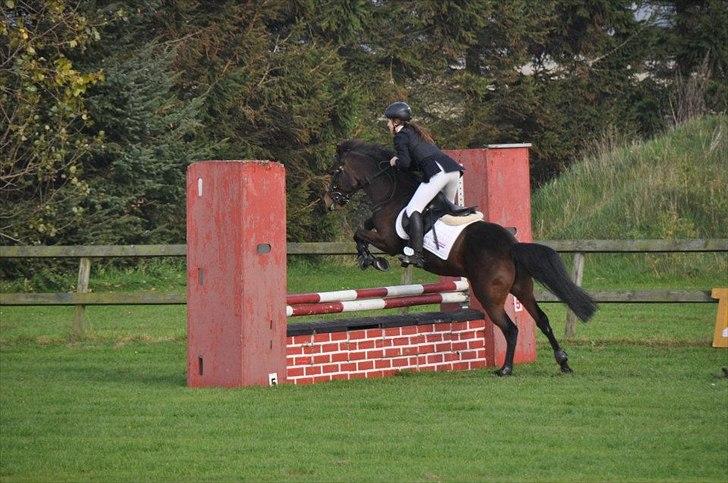 New Forest Lundgaards Kahlua - solgt :'( billede 12