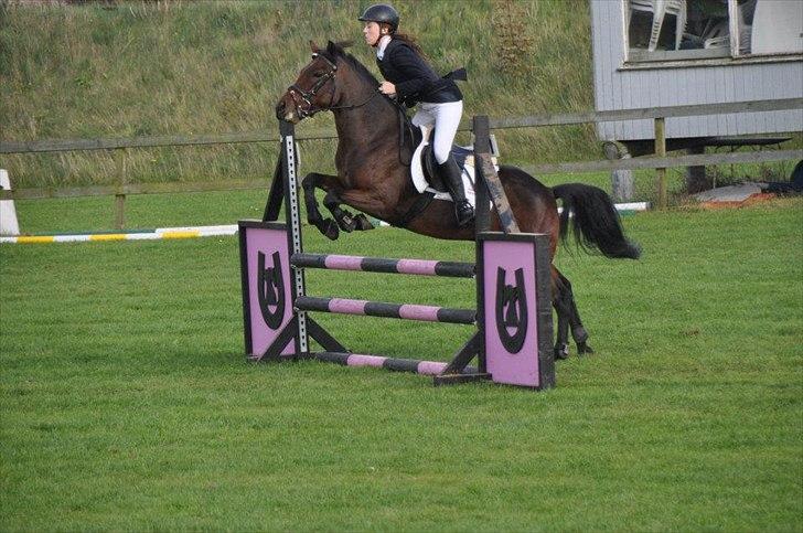 New Forest Lundgaards Kahlua - solgt :'( billede 14
