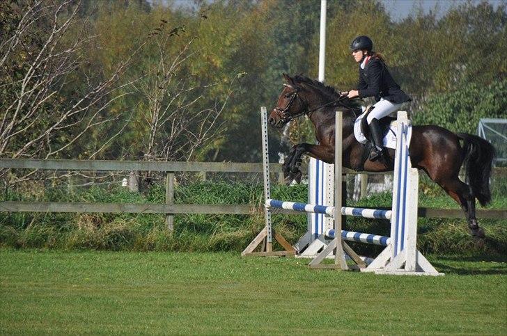 New Forest Lundgaards Kahlua - solgt :'( billede 15