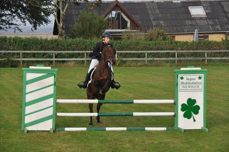 New Forest Lundgaards Kahlua - solgt :'( billede 16