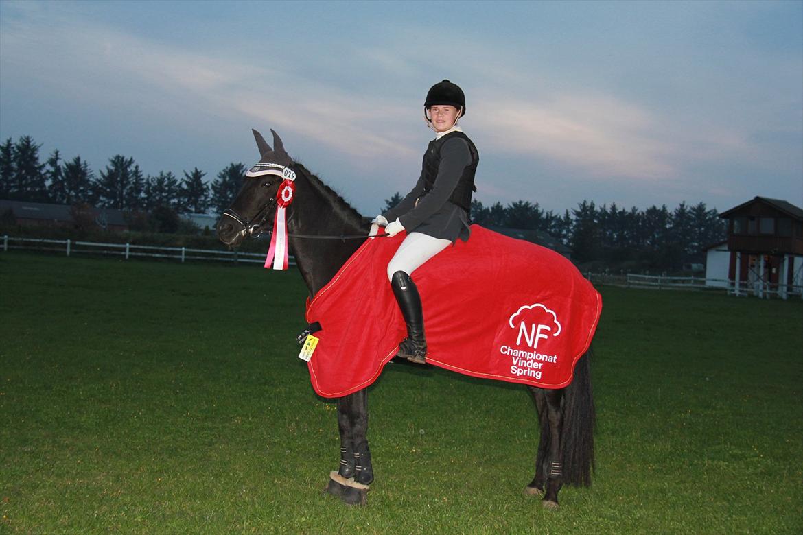 New Forest Holmens Casina - 6 Års Championats Vinder i Spring 2011! Fik stilkarakterne: Teknik: 8,5 Ridelighed: 9 Kapacitet 9!! Og derfor fik hun også sit R! Foto: Lykke Godskesen billede 9