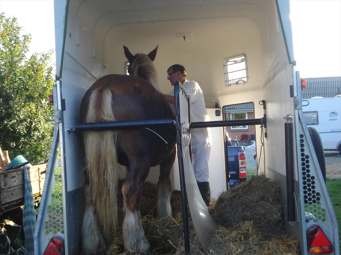 Jyde Findus Tindbæklund billede 7