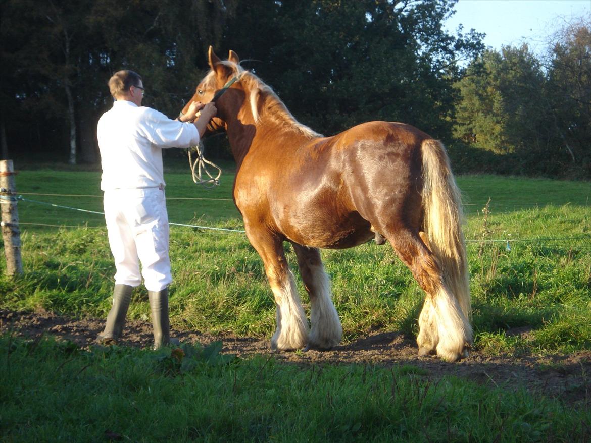 Jyde Findus Tindbæklund billede 11