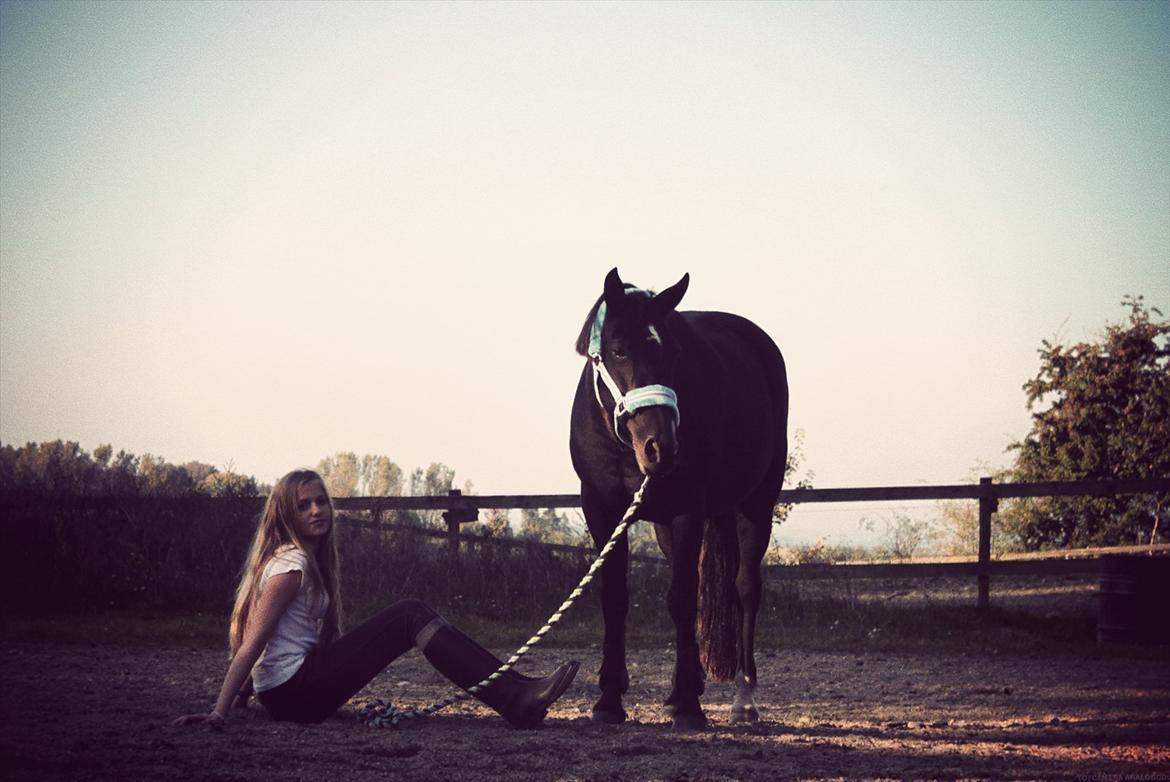 Anden særlig race Just Ebony  billede 7