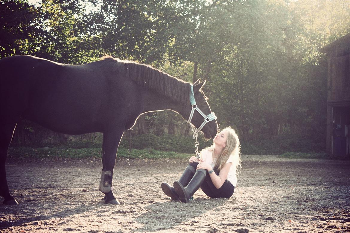 Anden særlig race Just Ebony  - Kyys :* billede 8