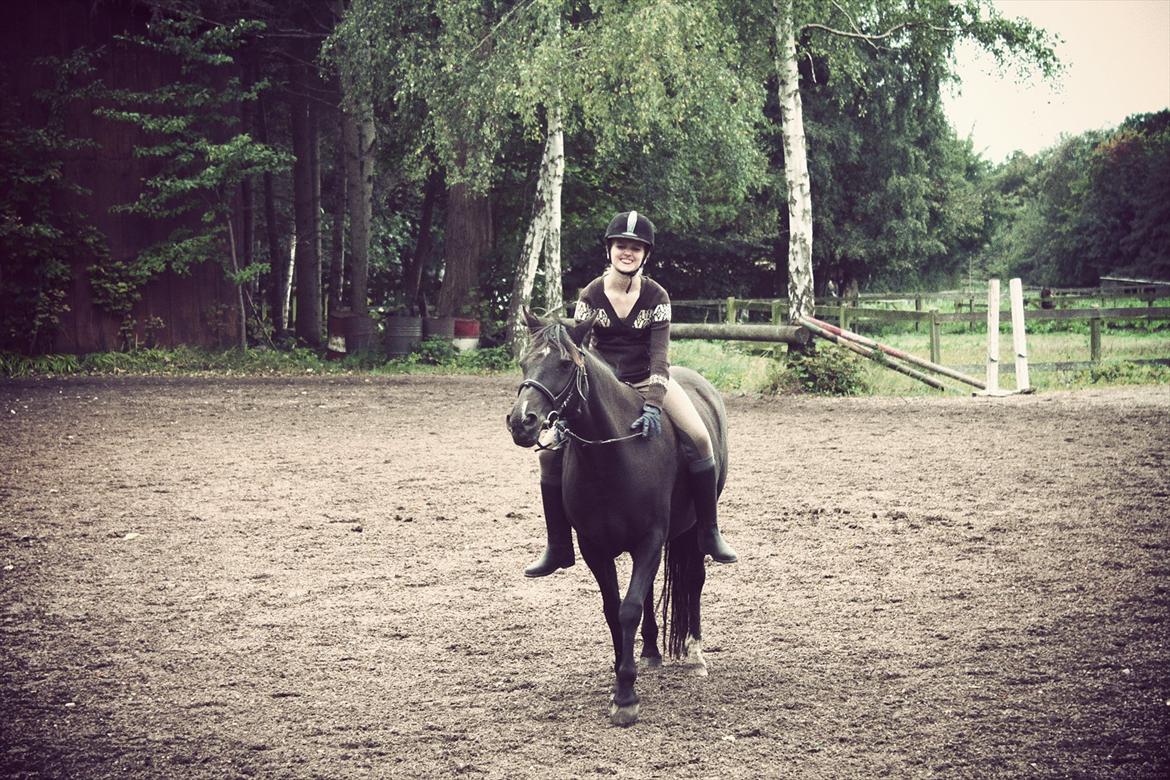 Anden særlig race Just Ebony  billede 10