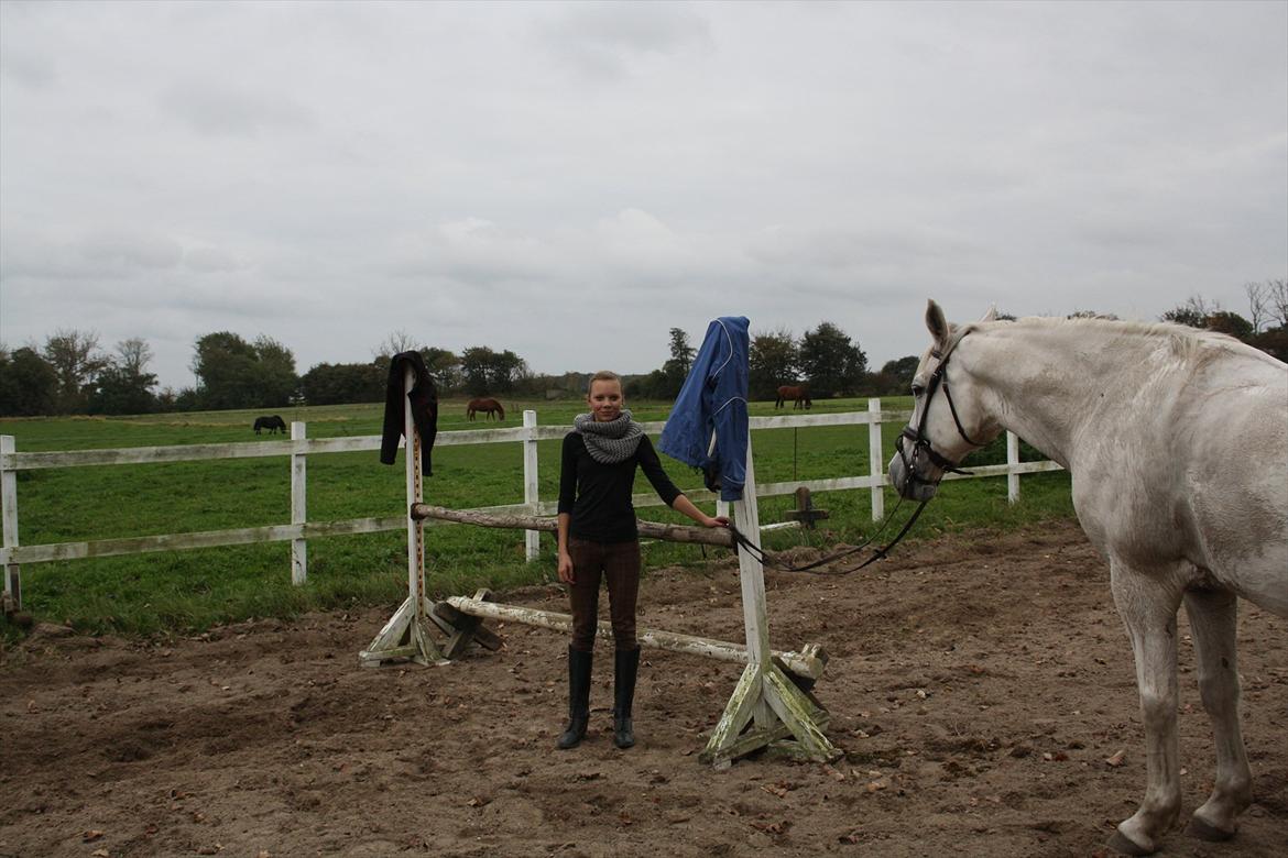 Trakehner Kaiser - Det sprang vi også :) <3 billede 14