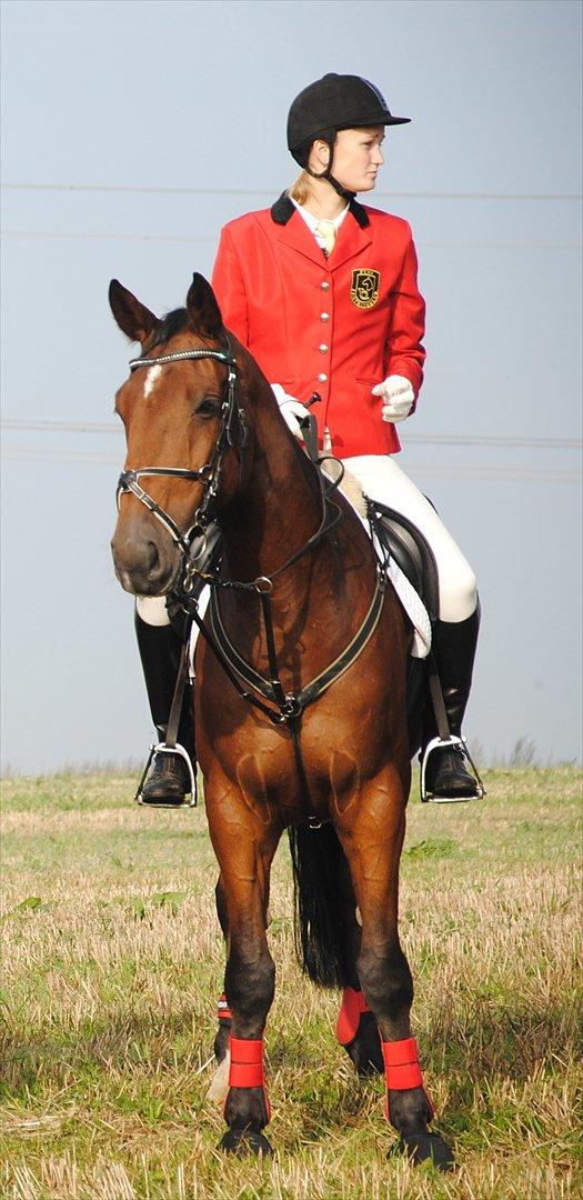 Holstener Møldams Columbus - Jagt i Kolding 2. oktober 2011 :) - foto - Kathrine Frosted billede 11