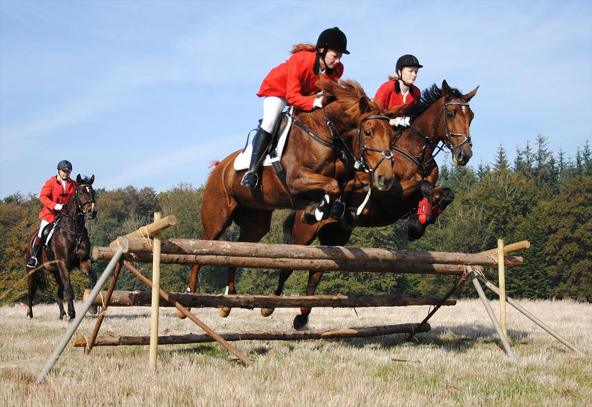 Holstener Møldams Columbus - Mig & Columbus og Janni & Kandiz i fin stil på Jagt i kolding 2. oktober 2011 :) - foto - Kathrine Frosted billede 12