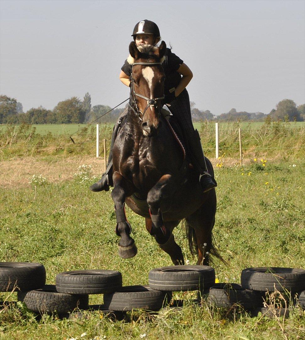 Oldenborg Rosenhavens Sindi billede 10