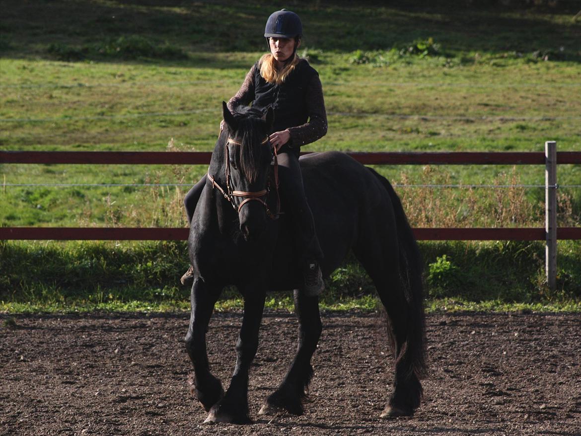 Frieser Nardia billede 19