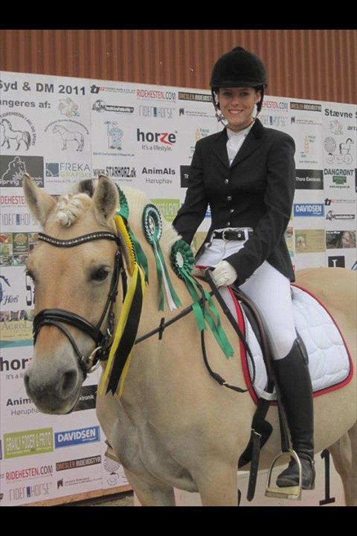 Fjordhest Laika Romeó(solgt) - DM 2011 nr. 4 billede 1