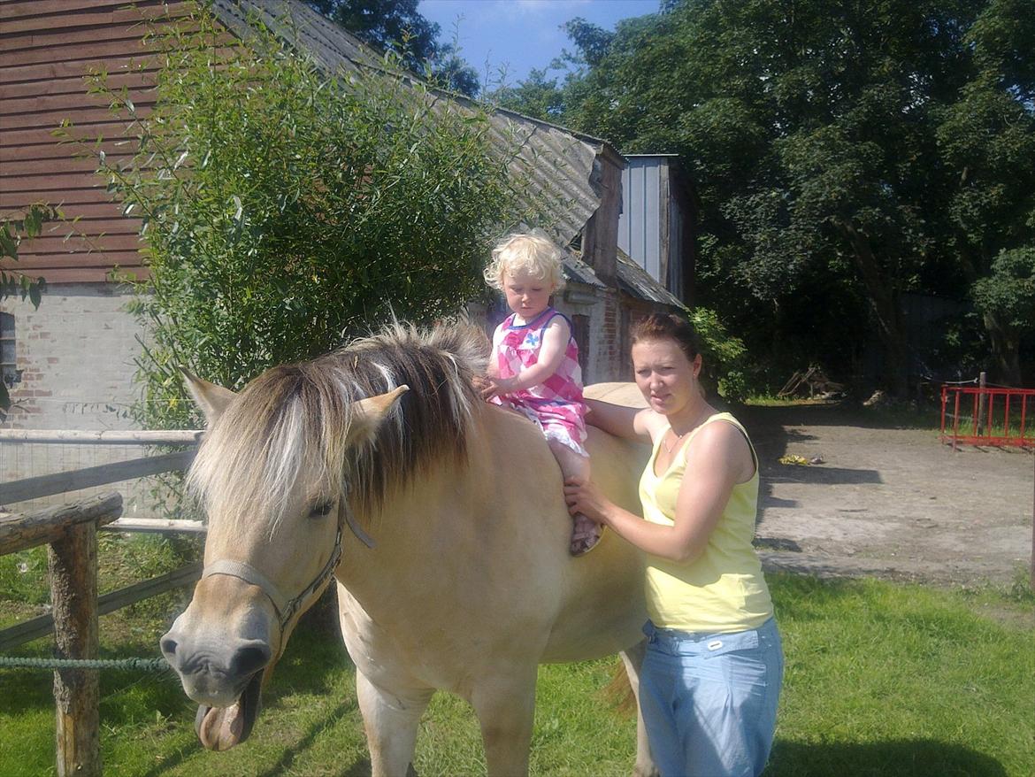 Fjordhest Ronja - Gud hvor er det keeeeeedeligt...  Nicoline til hest billede 20