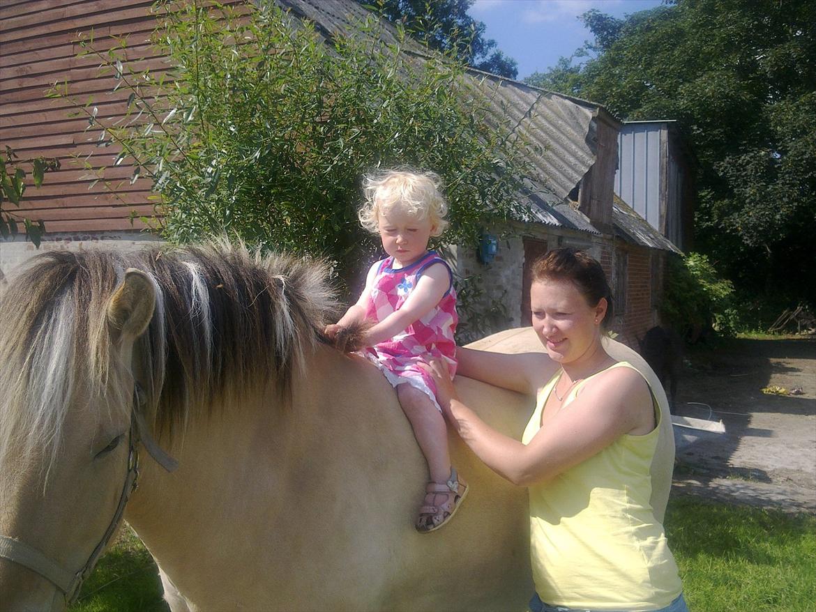 Fjordhest Ronja - Nicoline, mig og ronja billede 21