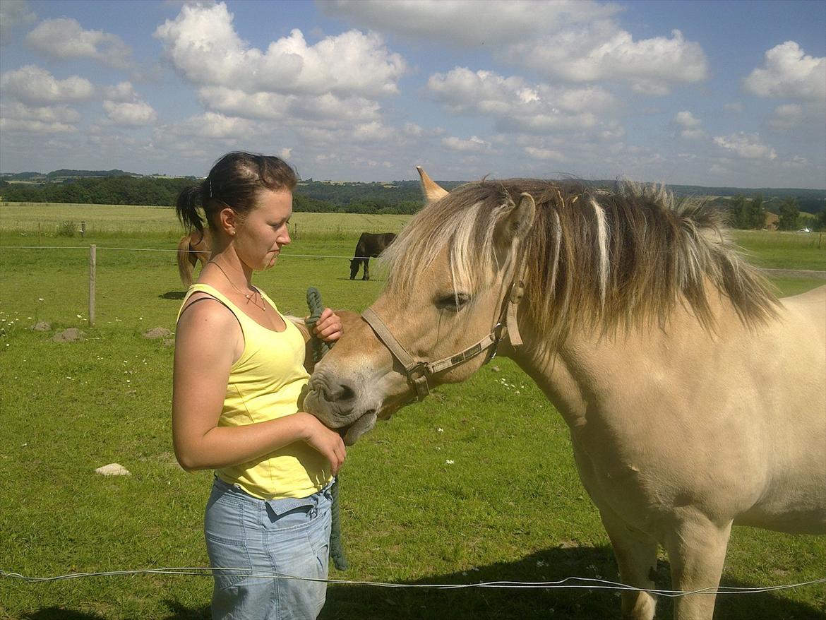 Fjordhest Ronja - mmm du smager godt.. billede 8