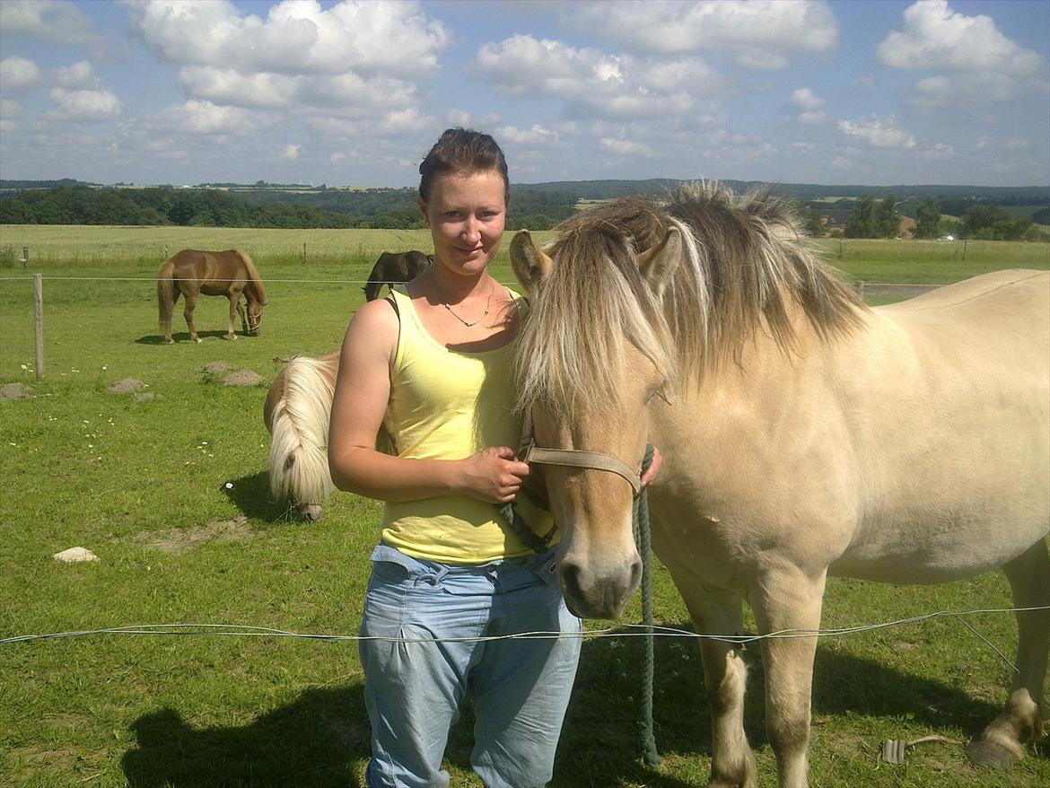 Fjordhest Ronja - Mors hest! billede 22