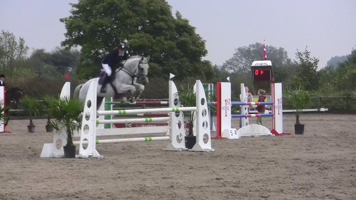 Holstener - Quidditch 13 - Glamsbjerg C-stævne september 2011. 120cm  billede 2