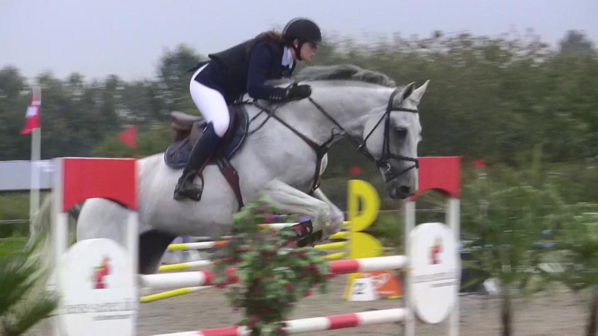 Holstener - Quidditch 13 - Glamsbjerg C-stævne september 2011. 120cm  billede 3