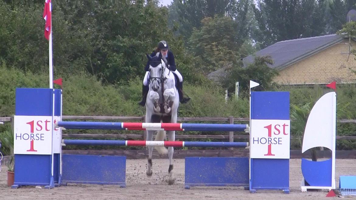 Holstener - Quidditch 13 - Glamsbjerg C-stævne september 2011. 130cm  billede 4