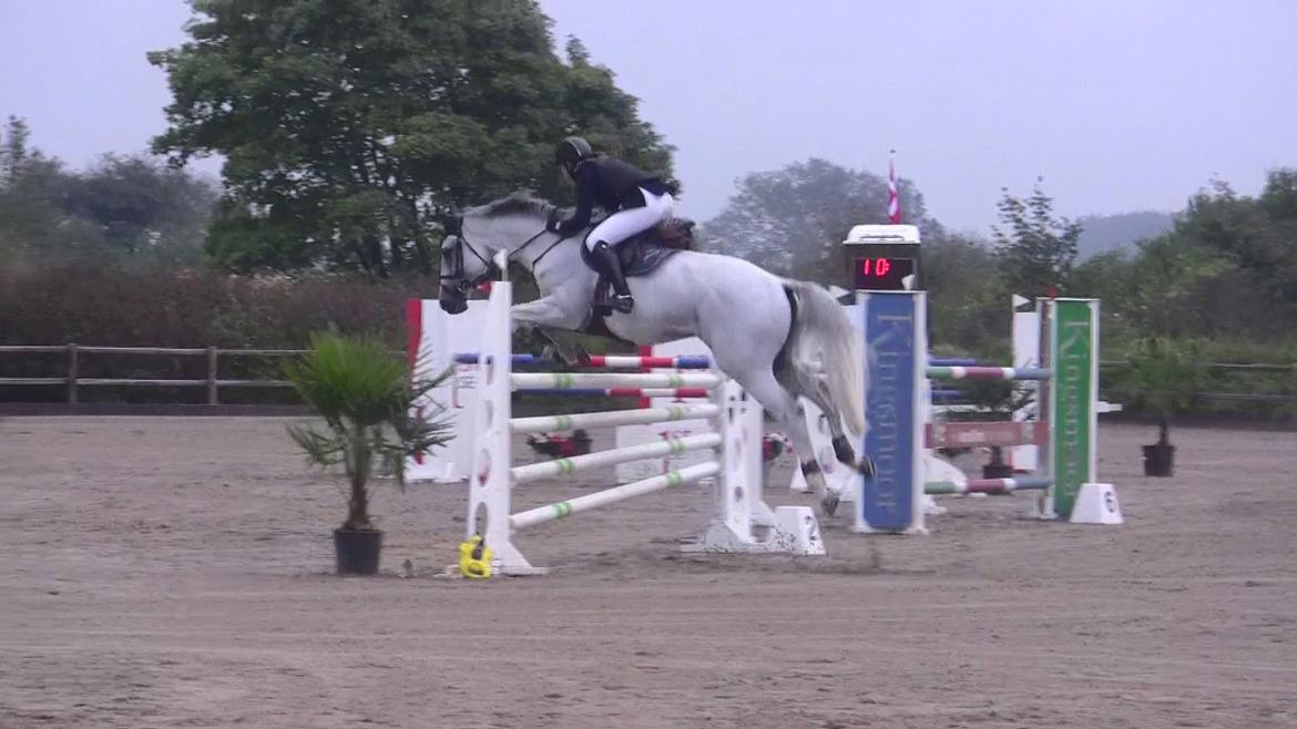 Holstener - Quidditch 13 - Glamsbjerg C-stævne september 2011. 130cm  billede 5