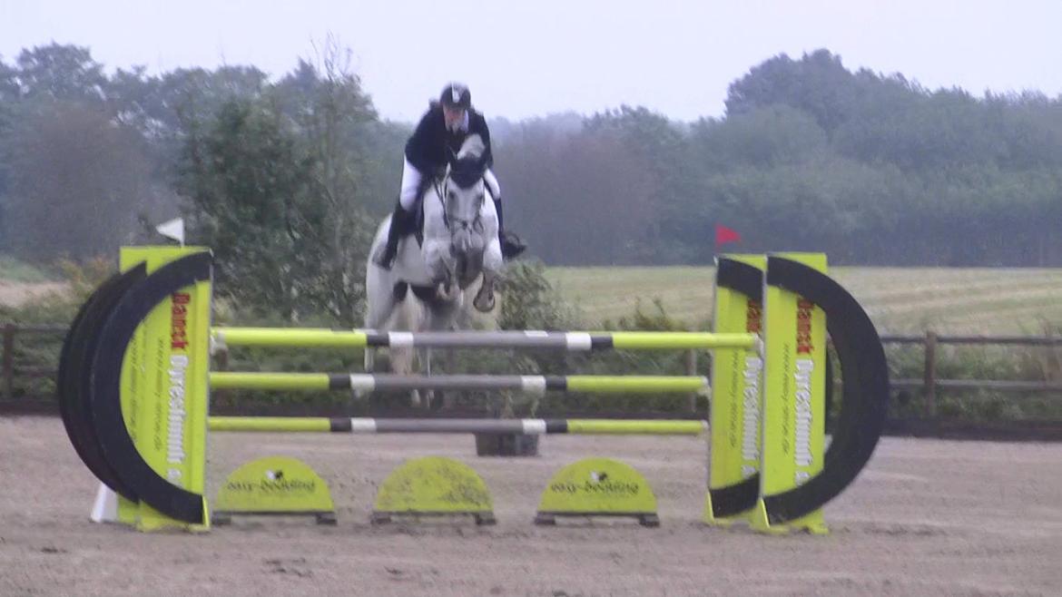 Holstener - Quidditch 13 - Glamsbjerg C-stævne september 2011. 130cm  billede 7