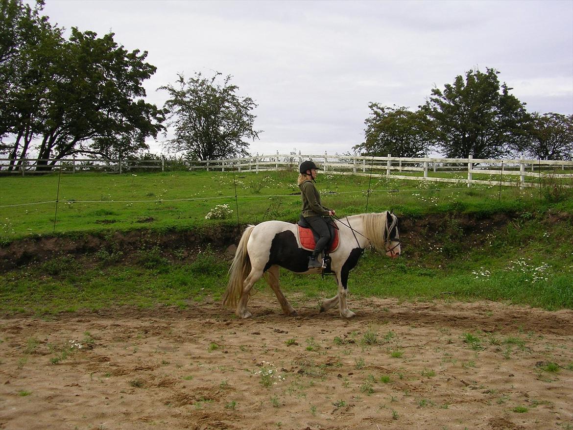 Tinker Ayla billede 9