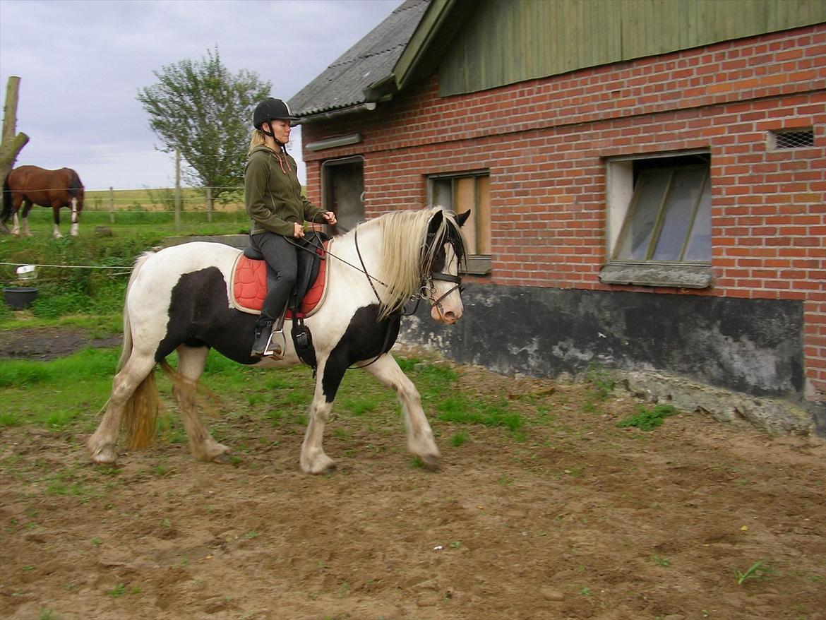 Tinker Ayla billede 10